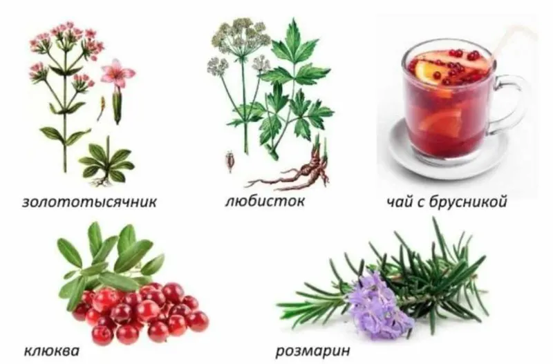 Скачать курс «Натуральное лечение дома (Анна Клинкова)» — слив курса