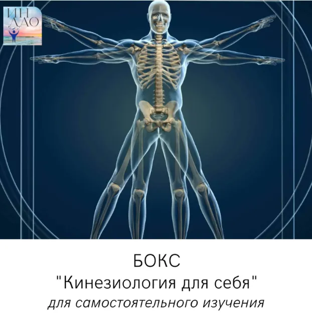 Скачать курс «Кинезиология для себя (Сергей Матюшкин)» — слив курса