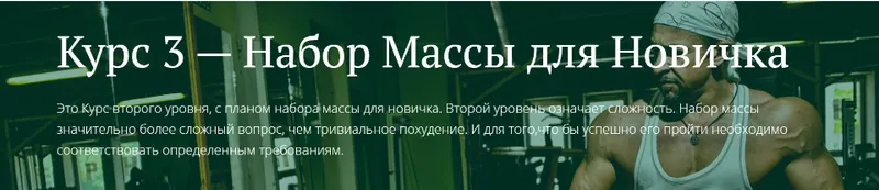 Скачать курс «[Freshlife28] Набор массы для новичка (Антон Петряков)» — слив курса