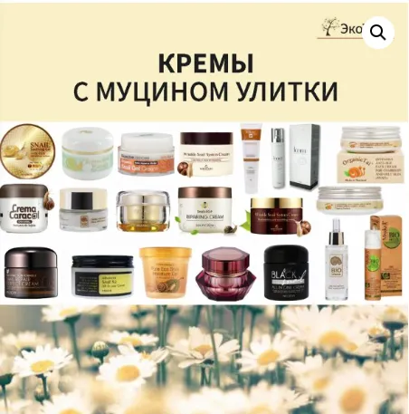Скачать курс «[Магазин ЭкоТестов] Кремы с муцином улитки (Алена Эко)» — слив курса