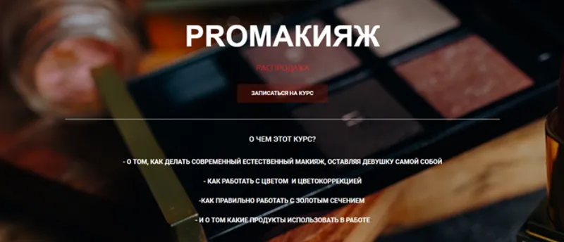 Скачать курс «PROмакияж (Таня Борисова)» — слив курса