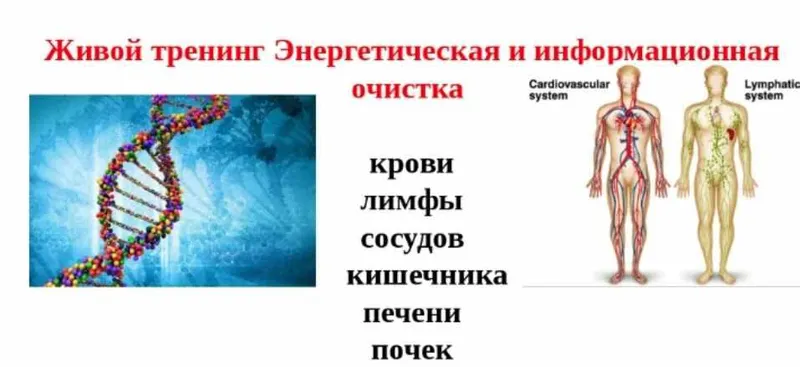Скачать курс «Энергетическая и информационная очистка (Ольга Макарчук)» — слив курса