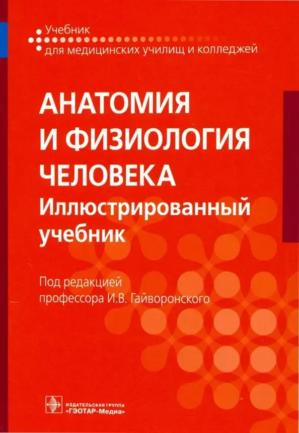 Скачать курс «Анатомия и физиология человека. Иллюстрированный учебник (Иван Гайворонский)» — слив курса