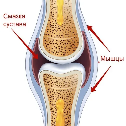 Скачать курс «Легко ходим, быстро встаем (Александра Бонина)» — слив курса