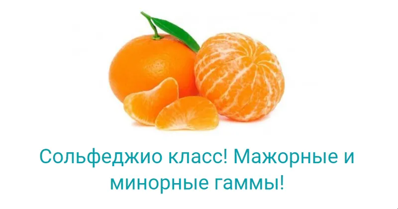 Скачать курс «Сольфеджио класс! Мажорные и минорные гаммы (Владимир Слаква)» — слив курса