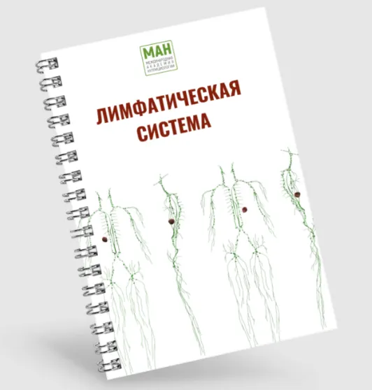 Скачать курс «[Международная Академия Нутрициологии] Гайд по работе с лимфой» — слив курса