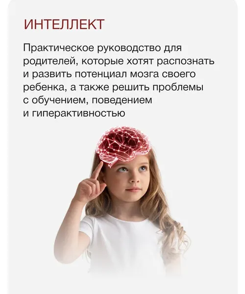 Скачать курс «Интеллект (Меседу Булач)» — слив курса
