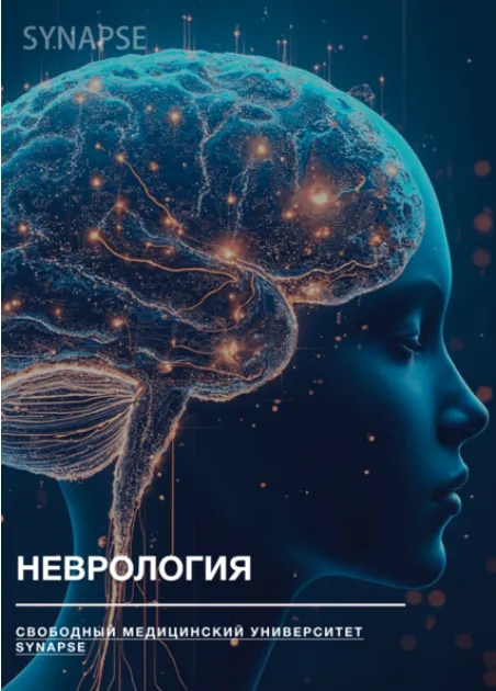 Скачать курс «[Synapse] Учебник по неврологии» — слив курса