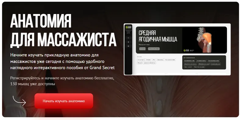 Скачать курс «[Grand Secret] Анатомия для массажиста (Максим Волков)» — слив курса