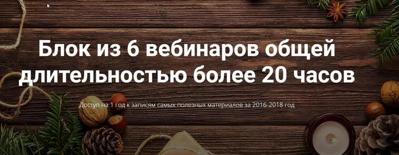 Скачать курс «Блок из 6 вебинаров (Алексей Красиков)» — слив курса
