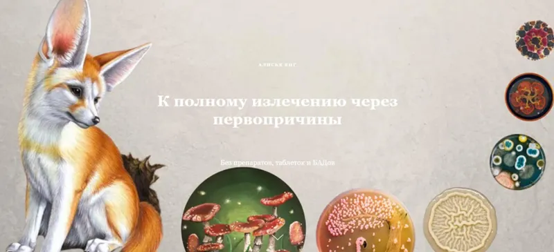 Скачать курс «К полному выздоровлению через первопричины (Алисья Янг)» — слив курса