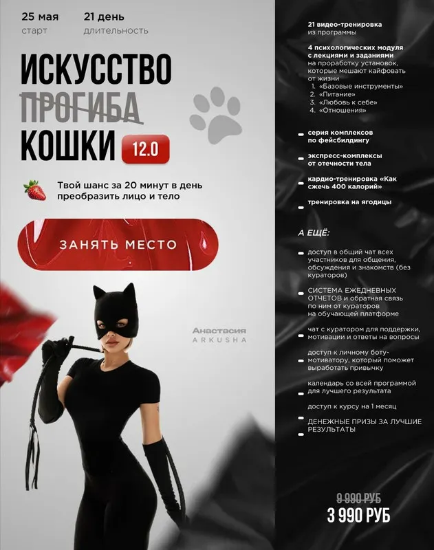 Скачать курс «[arkusha.a] Искусство прогиба 12.0 (Анастасия Аркуша)» — слив курса