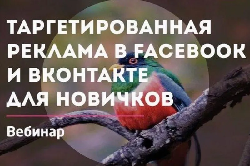 Скачать курс «[Convert Monster] Реклама в Facebook и Вконтакте (Антон Петроченков)» — слив курса