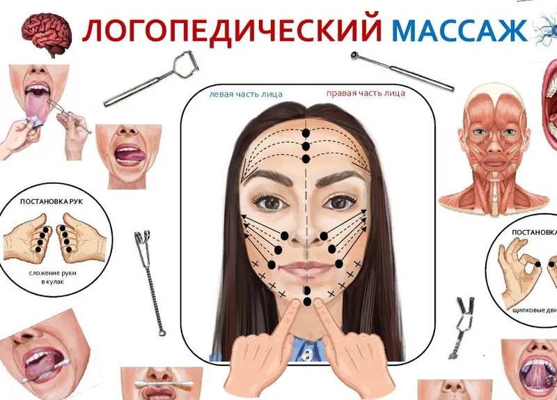 Скачать курс «Логопедический массаж (Галина Лашковская)» — слив курса