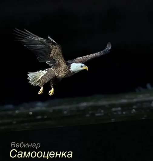 Скачать курс «Самооценка. Тариф без обратной связи (Игорь Мочалов)» — слив курса