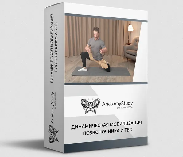 Скачать курс «[anatomystudy] Динамическая мобилизация позвоночника и ТБС (Вадим Балюк)» — слив курса