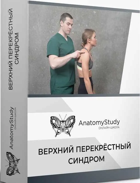 Скачать курс «[Anatomy Study] Верхний перекрестный синдром (Сергей Скворцов, Александр Семенов)» — слив курса