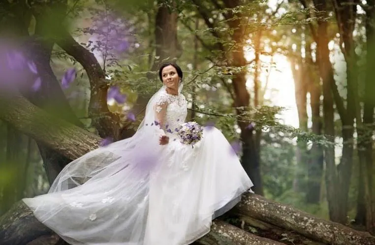 Скачать курс «[Highlights] Творческие эффекты, 2015 (Анна Гис)» — слив курса