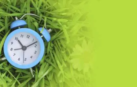 Скачать курс «[Школа астрологии «Созвездие»] 8 курс: Ректификация (Елена Ушкова)» — слив курса