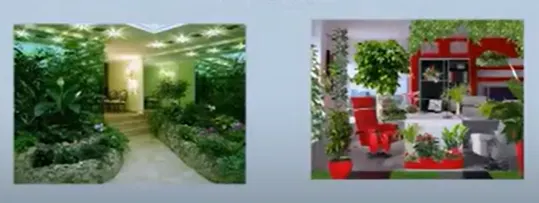 Скачать курс «[Prodecoring] Фитодизайн в интерьере» — слив курса