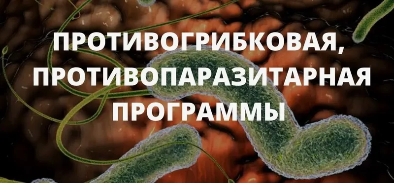 Скачать курс «Противогрибковая, противопаразитарная программы (Елена Бахтина)» — слив курса