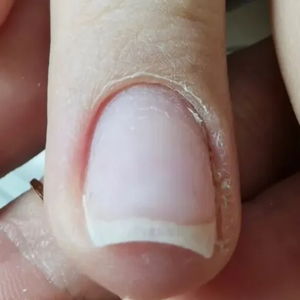 Скачать курс «[Pariss Nails] Энциклопедия аппаратного маникюра (Татьяна Свобода)» — слив курса