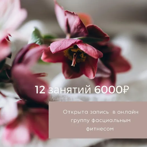 Скачать курс «Виртуальный фасциальный фитнес (fascial_fit)» — слив курса