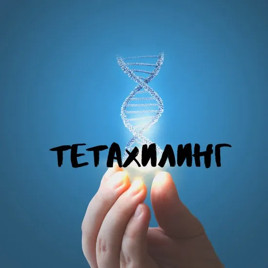 Скачать курс «Тетахилинг (Вианна Стеибл)» — слив курса