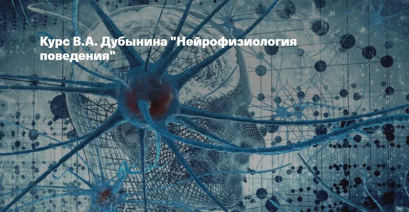 Скачать курс «[Архэ] Нейрофизиология поведения (Вячеслав Дубынин)» — слив курса