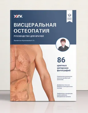 Скачать курс «[УПАК] Висцеральная остеопатия (Надежда Красноярова)» — слив курса
