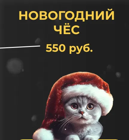 Скачать курс «Новогодний чёс (Игорь Цаплин)» — слив курса