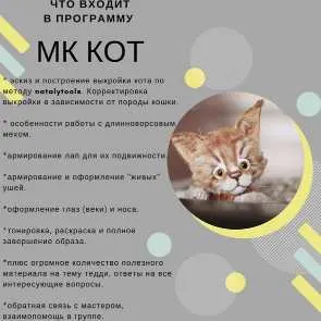 Скачать курс «Кот (Наталья Толстыкина)» — слив курса