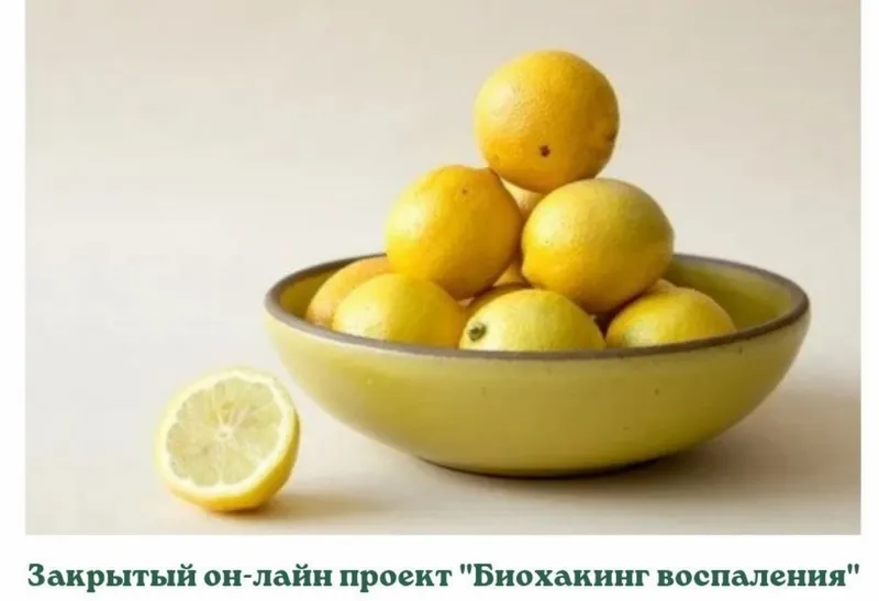 Скачать курс «Закрытый он-лайн проект Биохакинг воспаления (Анастасия Бакирова)» — слив курса