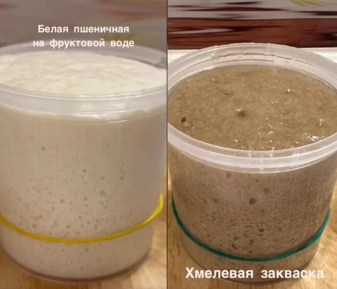 Скачать курс «[Xleb.tartin] Курс по выведению заквасок» — слив курса