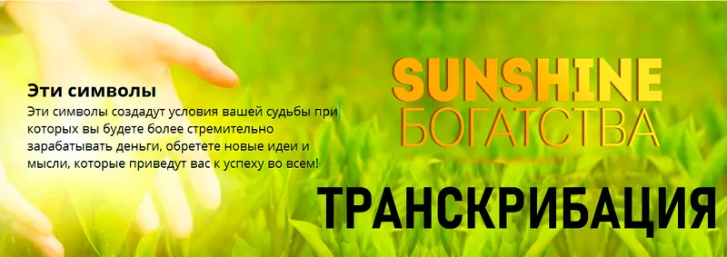 Скачать курс «Sunshine Богатство. Транскрибация (Андрей Дуйко)» — слив курса