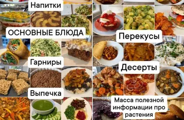 Скачать курс «[Medical Medium] Рецепты для исцеления по методике Медикал Медиум» — слив курса