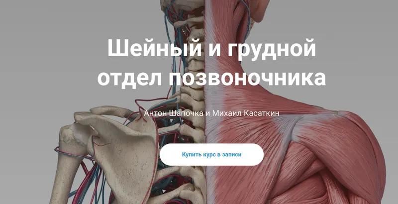 Скачать курс «[kineziocourse] Шейный и грудной отдел позвоночника (Михаил Касаткин, Антона Шапочка)» — слив курса