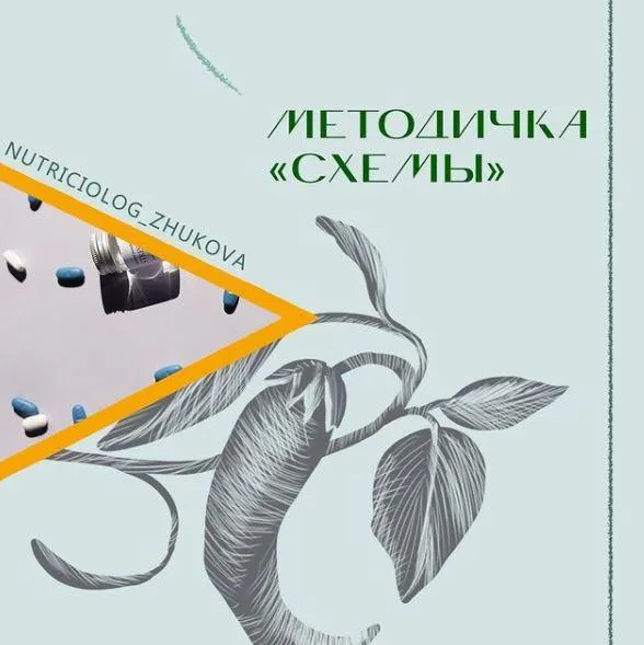Скачать курс «Методичка СХЕМЫ (nutriciolog_zhukova)» — слив курса