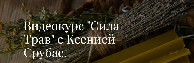 Скачать курс «Видеокурс "Сила Трав"  (Ксения Срубас)» — слив курса