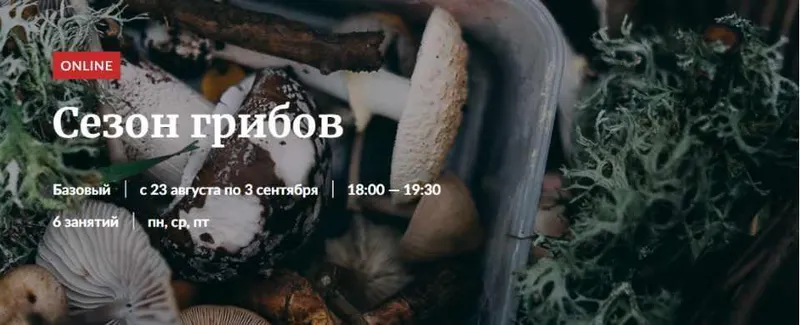 Скачать курс «[Novikov school] Сезон грибов (Александр Цуканов)» — слив курса