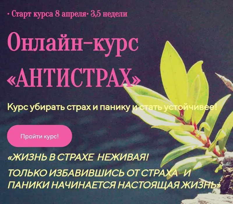 Скачать курс «Антистрах (Лилия Четверикова)» — слив курса