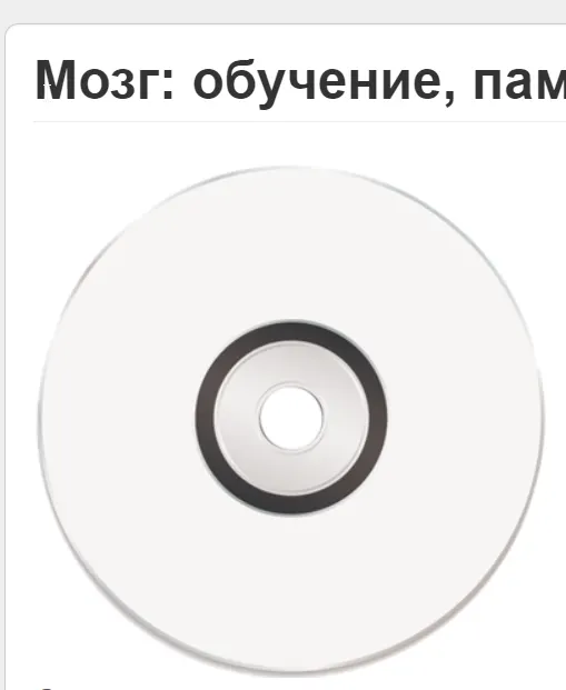 Скачать курс «Мозг обучение, память, информатории (Вячеслав Губанов)» — слив курса