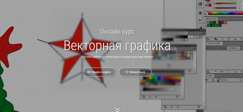 Скачать курс «Векторная графика (Александра Малышева)» — слив курса