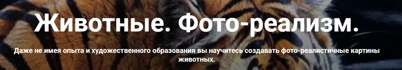 Скачать курс «Животные. Фото-реализм. Тариф Стандарт (Александр Шатале)» — слив курса