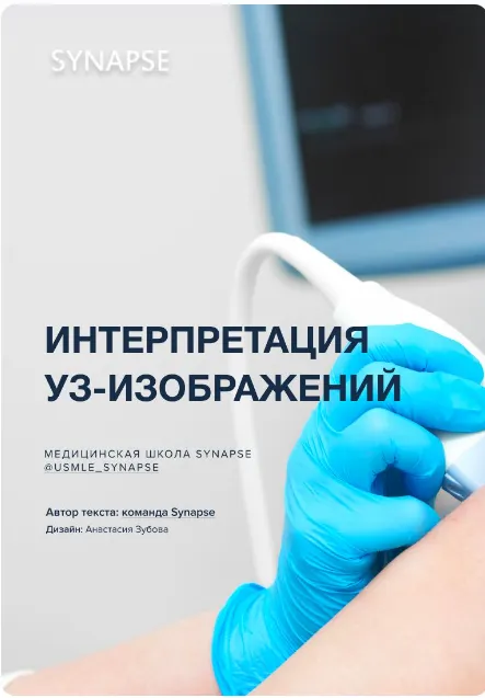 Скачать курс «[Synapse] Интерпретация УЗ-изображений» — слив курса