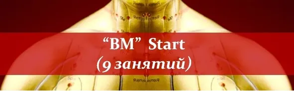Скачать курс «Восточная Медицина - Start (Владимир Заворотный)» — слив курса