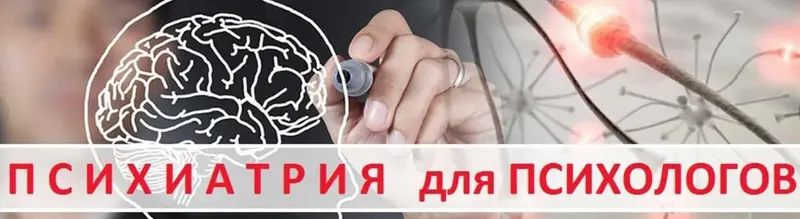 Скачать курс «Психиатрия для психологов. Основы детской психиатрии (Антoн Ежoв)» (Антон Ежов) — слив курса