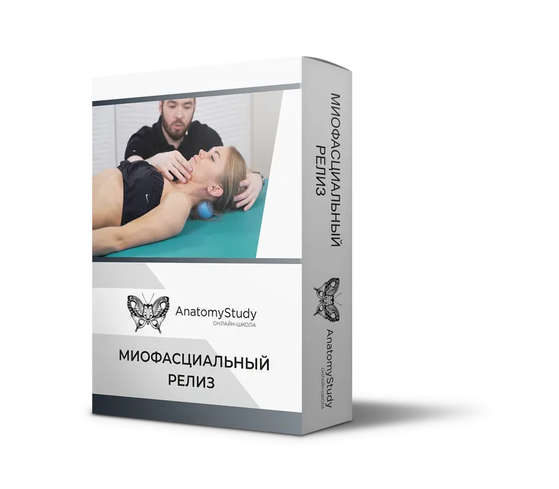 Скачать курс «Миофасциальный релиз 3 (Андрей Богатырев)» — слив курса