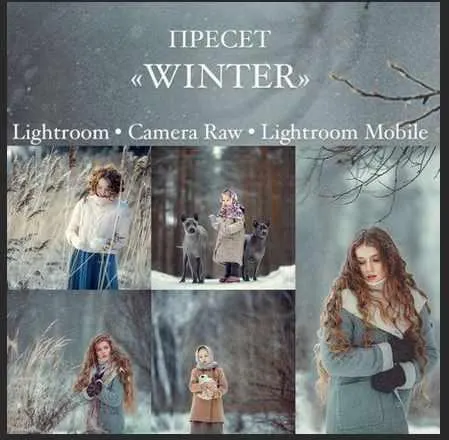 Скачать курс «Пресет Winter (Анна Мельникова)» — слив курса