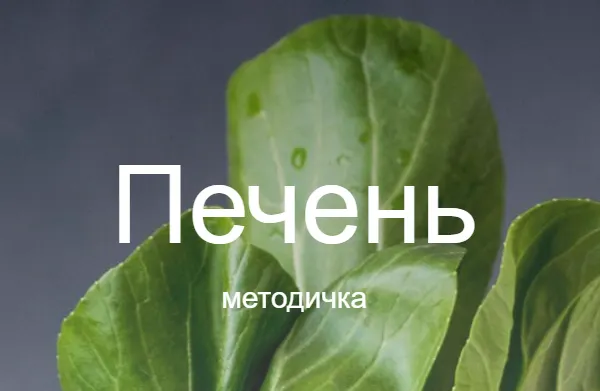 Скачать курс «Методичка печень (Валентина Жукова)» — слив курса